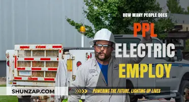 PPL Electric's Workforce: How Many Employees?