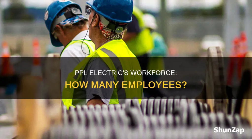 how many people does ppl electric employ