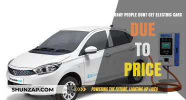 Electric Car Adoption: How Price Barriers Limit Consumer Interest