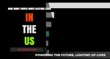 Electric Car Adoption in the US: Current Ownership Statistics