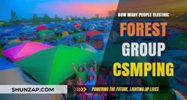Electric Forest Camping: How Many People Per Group?