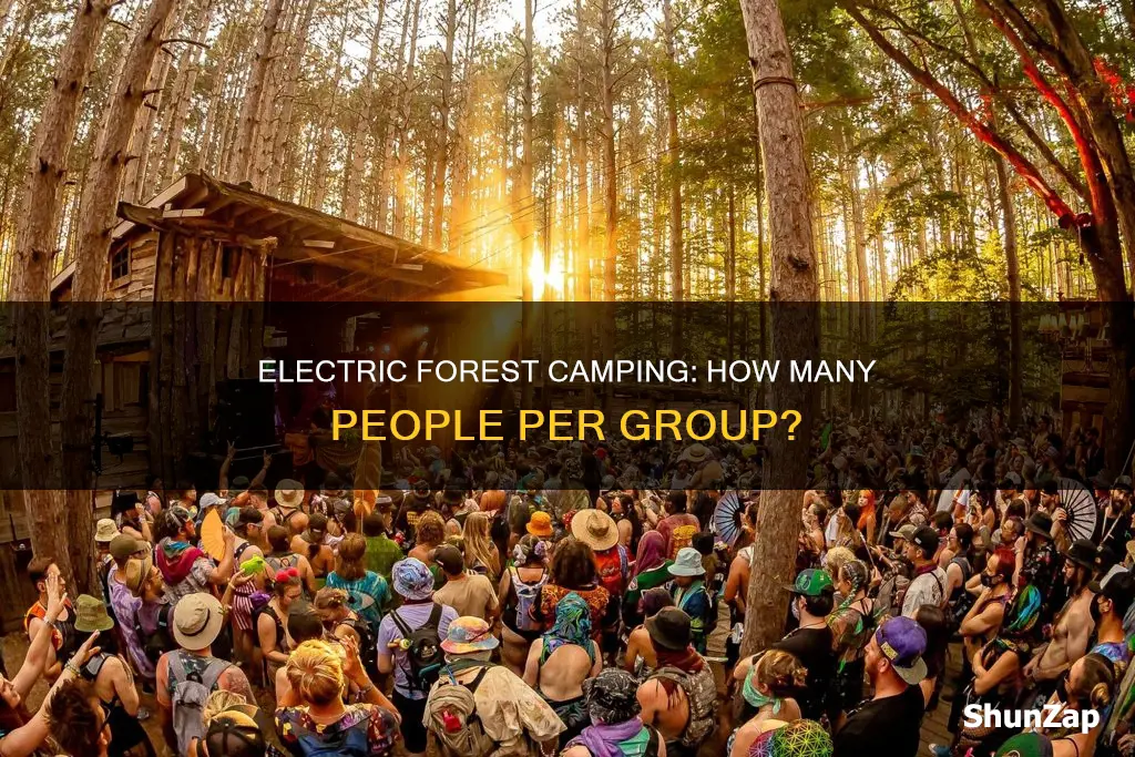 how many people electric forest group csmping