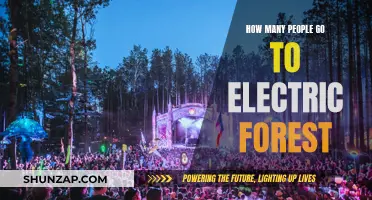 A Vibrant Forest: Thousands Gather for Electric Forest
