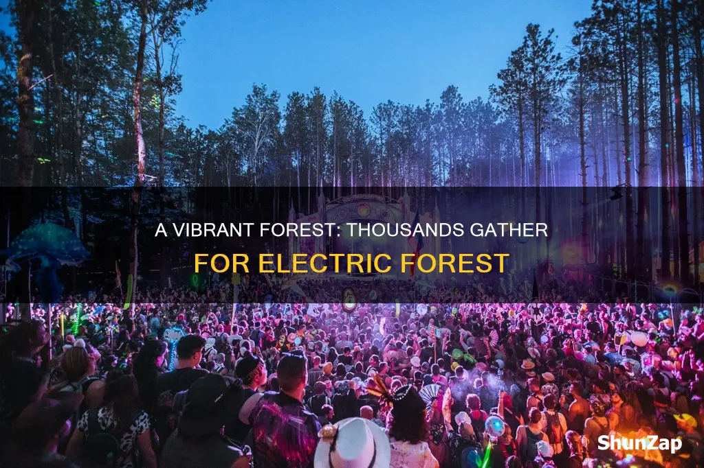 how many people go to electric forest