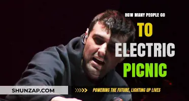 Electric Picnic: A Festival with Massive Attendance