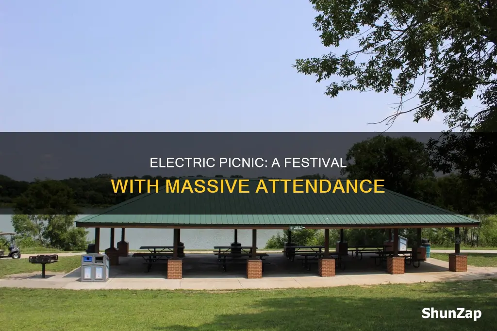 how many people go to electric picnic