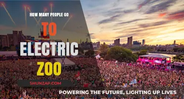 Electric Zoo: A Massive Festival with Huge Attendance