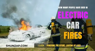 Electric Car Fire Fatalities: Uncovering the Rare but Alarming Statistics