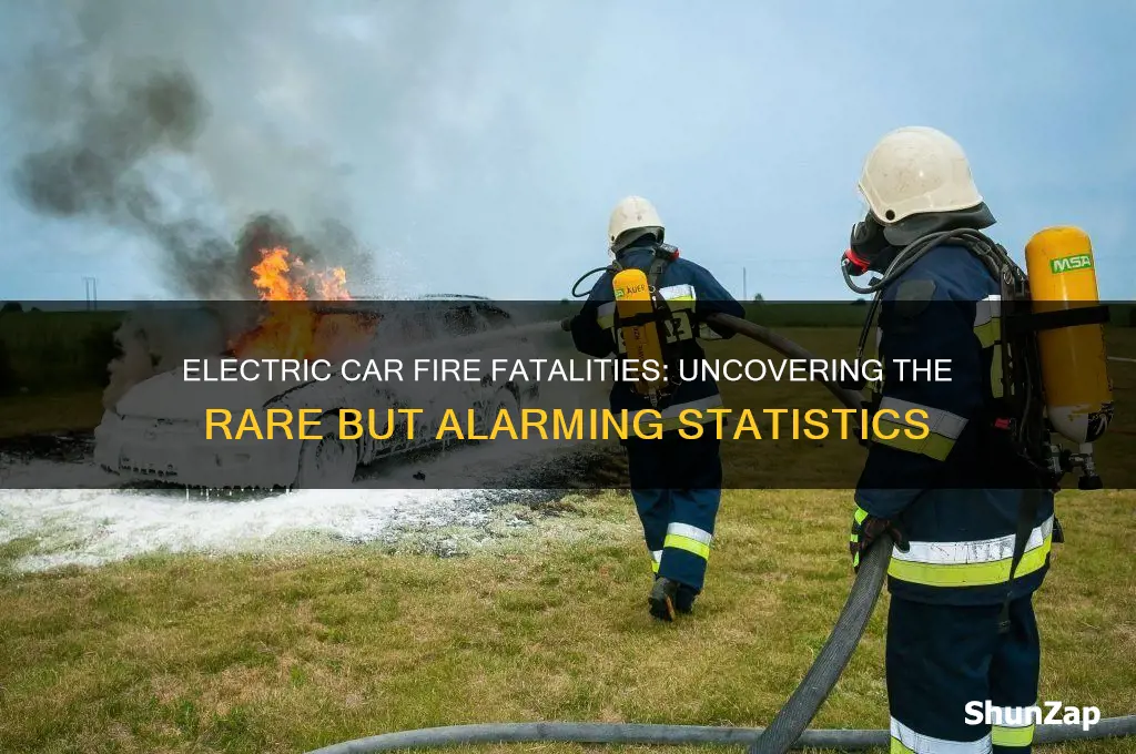 how many people have died in electric car fires