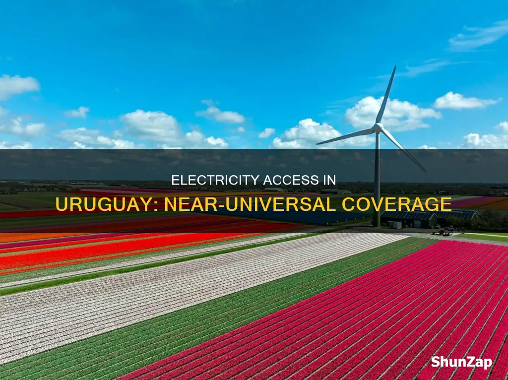 how many people have electricity in uraguay