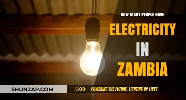 Access to Electricity in Zambia: Who Has Power?