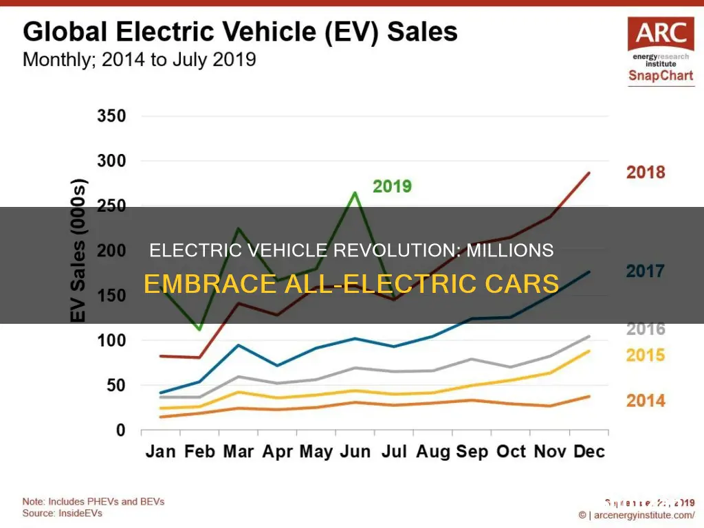 how many people haveall electric vehicles