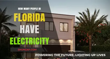Florida's Electricity Access: Who Has Power?