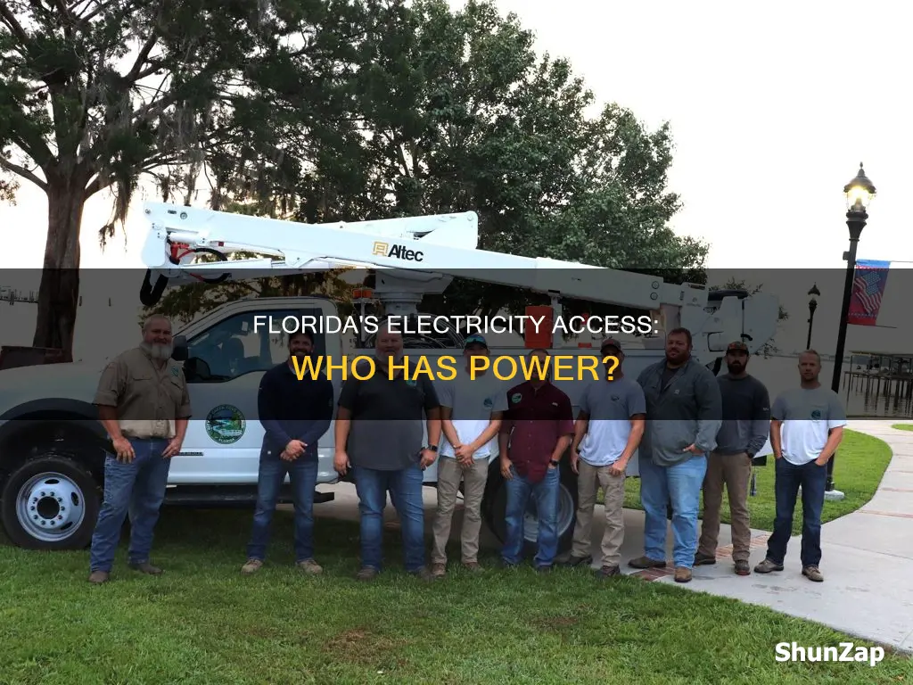how many people in florida have electricity