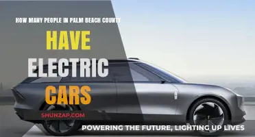 Palm Beach County's Electric Car Adoption: Current Numbers and Trends