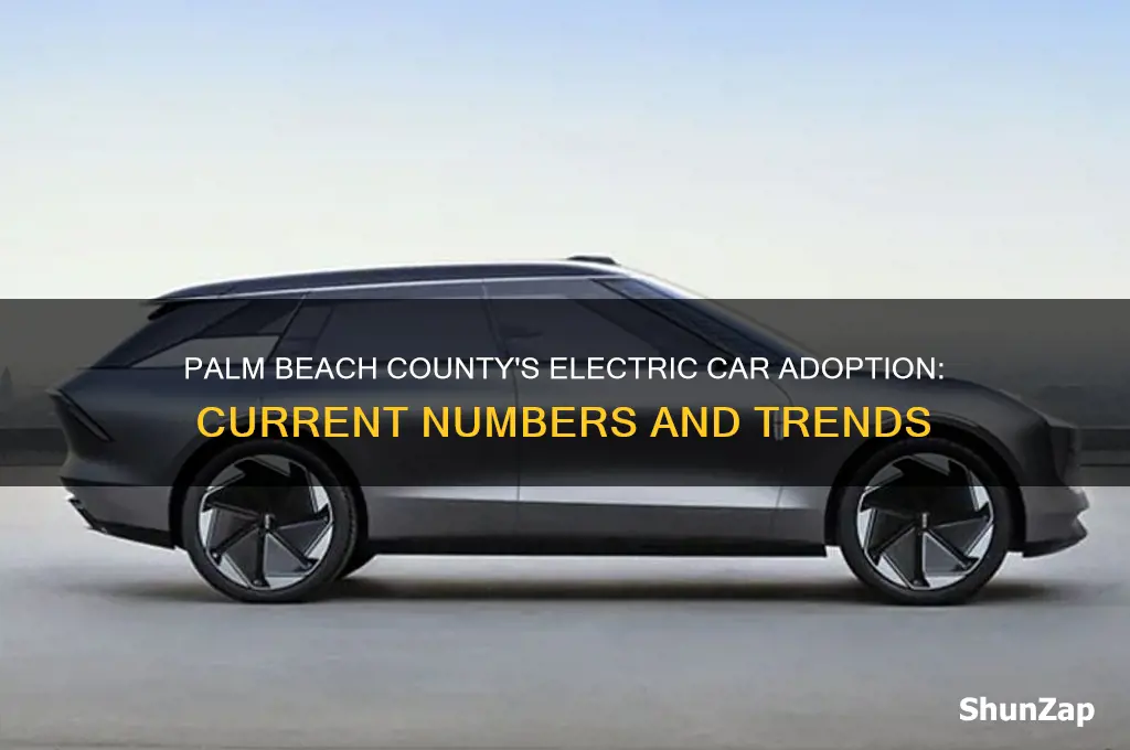 how many people in palm beach county have electric cars