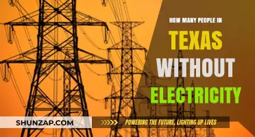 Texans Plunge into Darkness: Millions Without Power