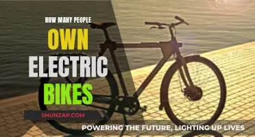 Electric Bike Revolution: Who's Riding and How Many?