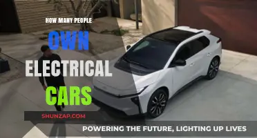 Electric Vehicle Ownership: How Many People Drive Electric Cars Today?