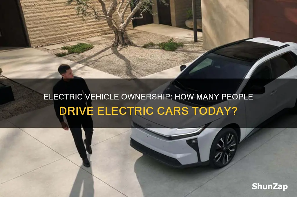 how many people own electrical cars