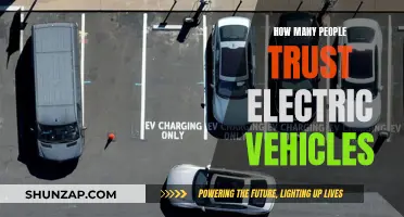 Electric Vehicles: Trusted by Many or Few?