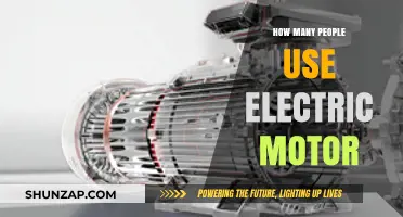 Electric Motor Usage: How Many People Are Going Electric?