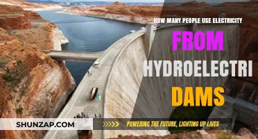 Hydroelectric Power Usage: How Many Rely on Dam-Generated Electricity?