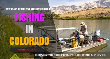 Electro Fishing Popularity in Colorado: Who's Using This Technique?