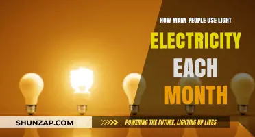 Monthly Light Electricity Usage: How Many People Rely on It?