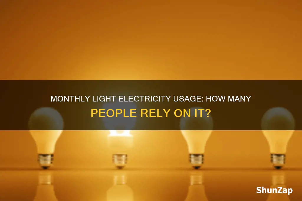 how many people use light electricity each month