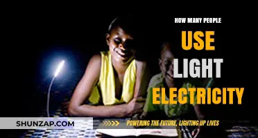 Global Light Electricity Usage: How Many People Rely on It?