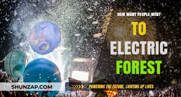 Electric Forest's Massive Crowd: A Record-Breaking Year