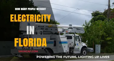 Florida's Powerless: Millions Without Electricity