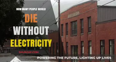 The World Without Electricity: A Deadly Scenario
