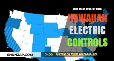 Hawaiian Electric's Monopoly: Controlling the Energy Sector