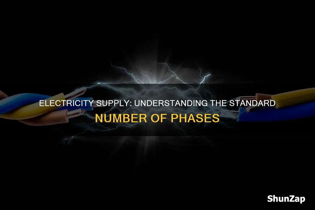 how many phases is my electricity supply