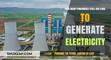Coal's Persistent Role: Provinces Still Relying on Coal for Electricity