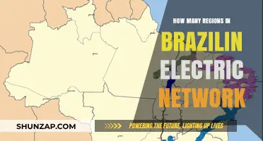 Brazil's Electric Network: A Complex Regional System