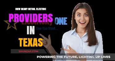 Texas Retail Electric Providers: How Many Are There?