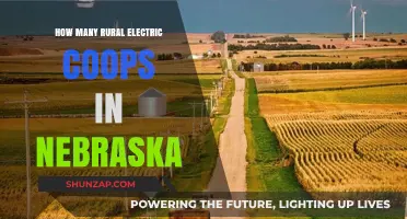 Nebraska's Electric Cooperatives: Powering Rural Communities