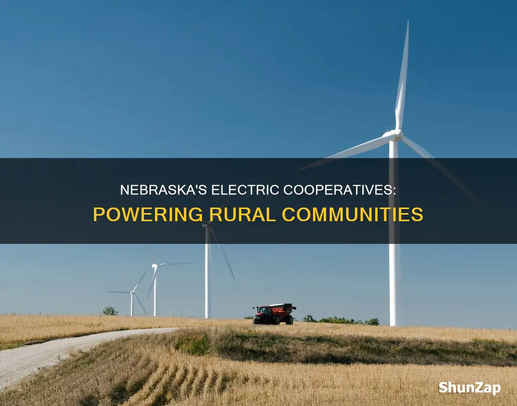 how many rural electric coops in nebraska