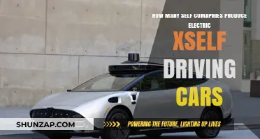 Exploring the Rise of Self-Driving Electric Car Manufacturers