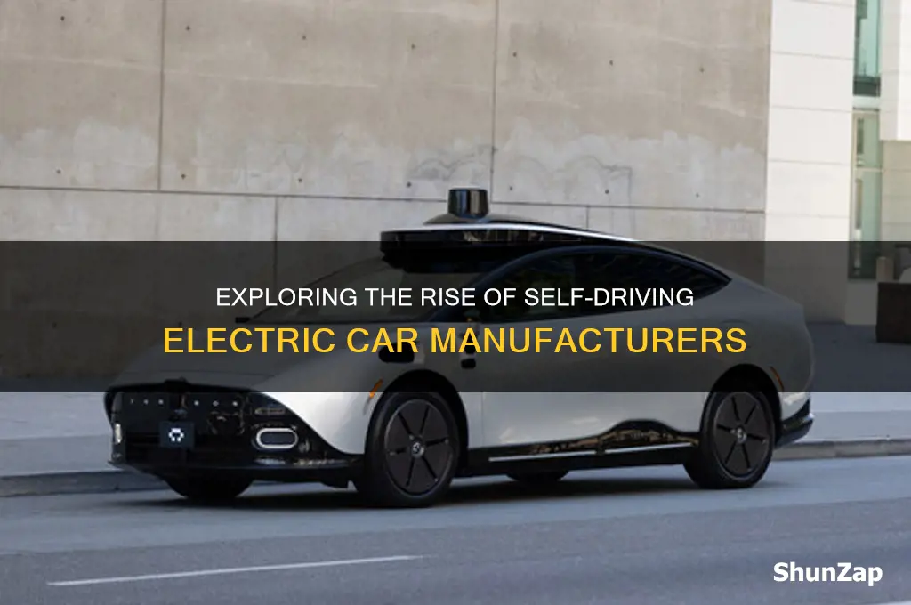how many self comapnies produce electric xself driving cars