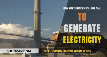 Coal's Persistent Role: How Many States Still Rely on It?
