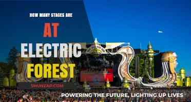 Exploring the Electric Forest Festival Stages