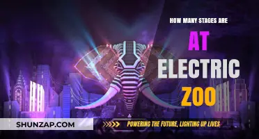 Stages of Electric Zoo: An Immersive Experience