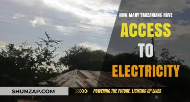 Electricity Access in Tanzania: How Many Have Power?