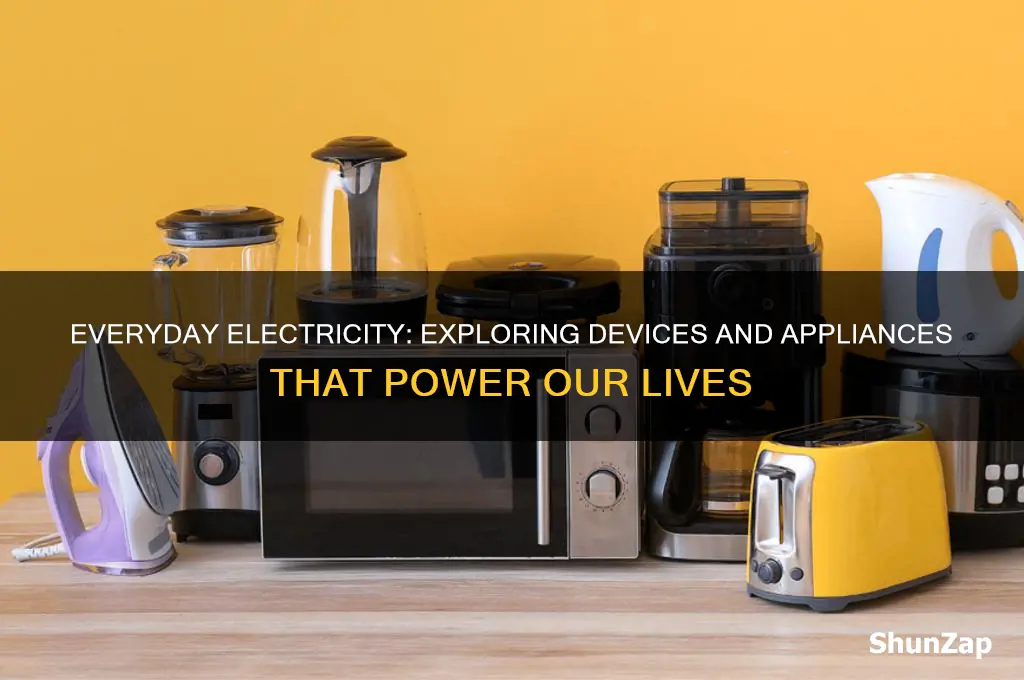 how many things use electricity