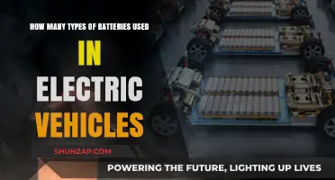 Exploring the Diverse Types of Batteries Powering Electric Vehicles