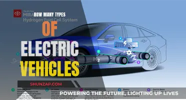 Exploring the Diverse World of Electric Vehicles: A Comprehensive Guide